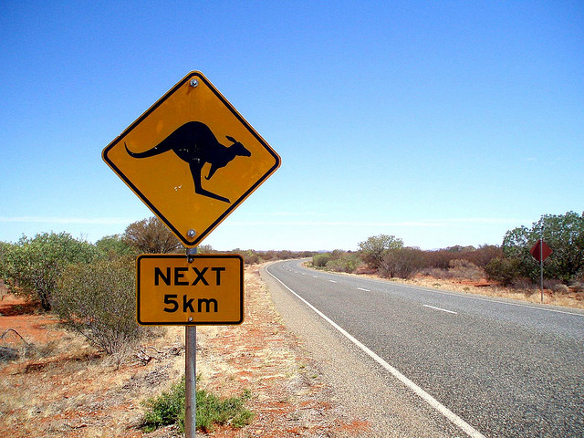 ../../../_images/kangaroos4.jpg